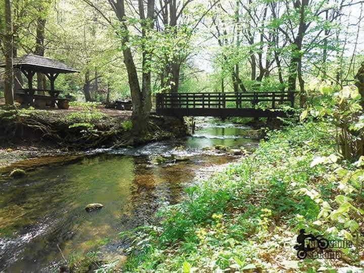 Apartmani Grza Парачин Екстер'єр фото