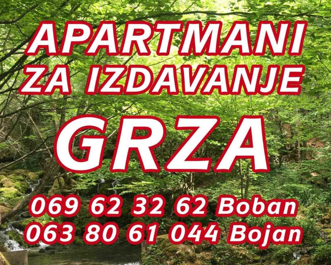 Apartmani Grza Парачин Екстер'єр фото