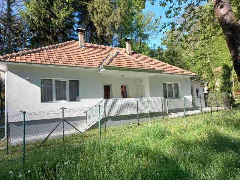 Apartmani Grza Парачин Екстер'єр фото