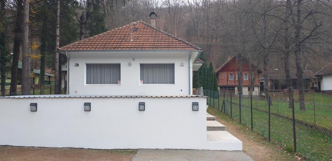 Apartmani Grza Парачин Екстер'єр фото