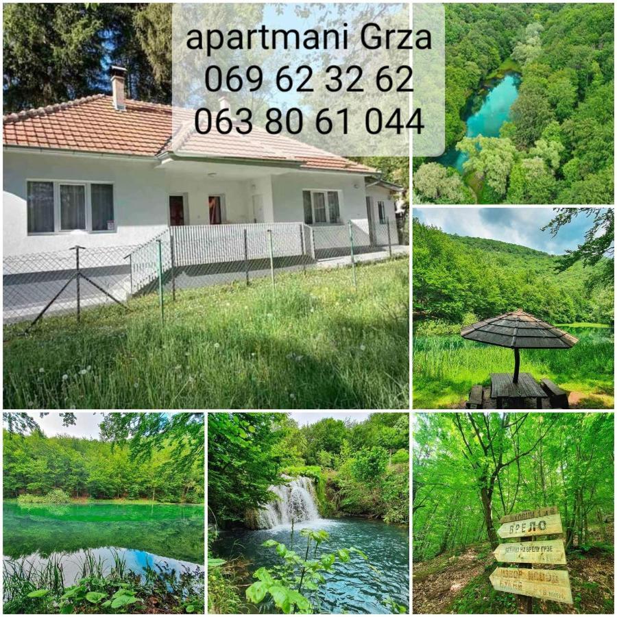 Apartmani Grza Парачин Екстер'єр фото