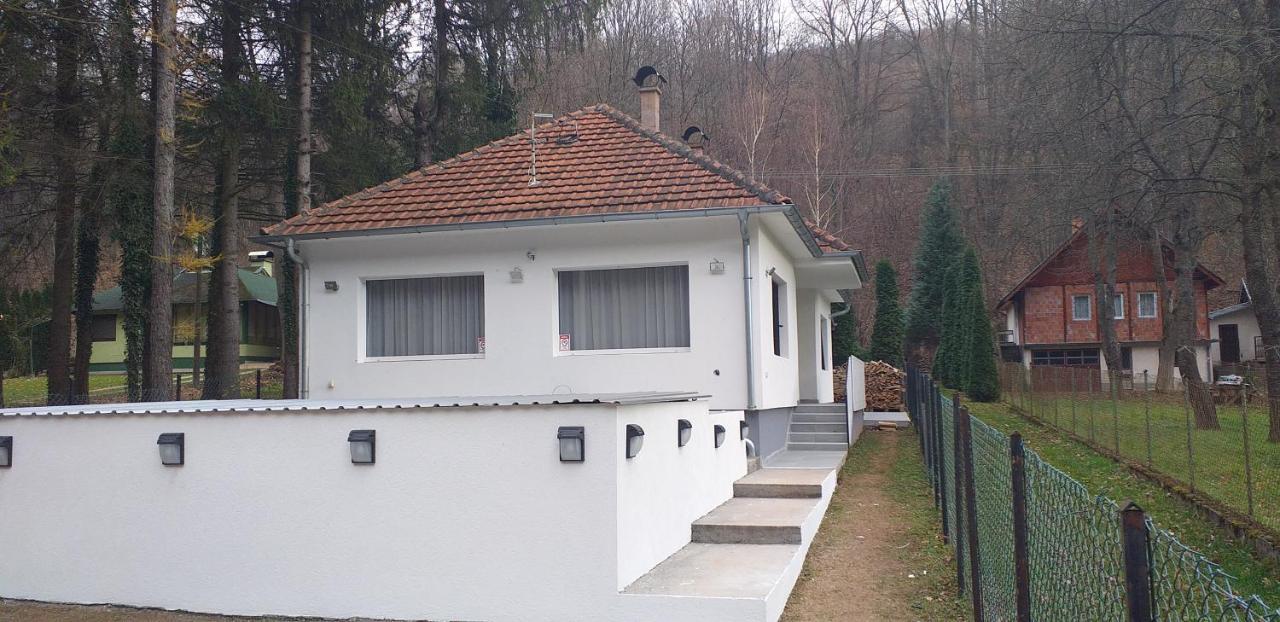 Apartmani Grza Парачин Екстер'єр фото