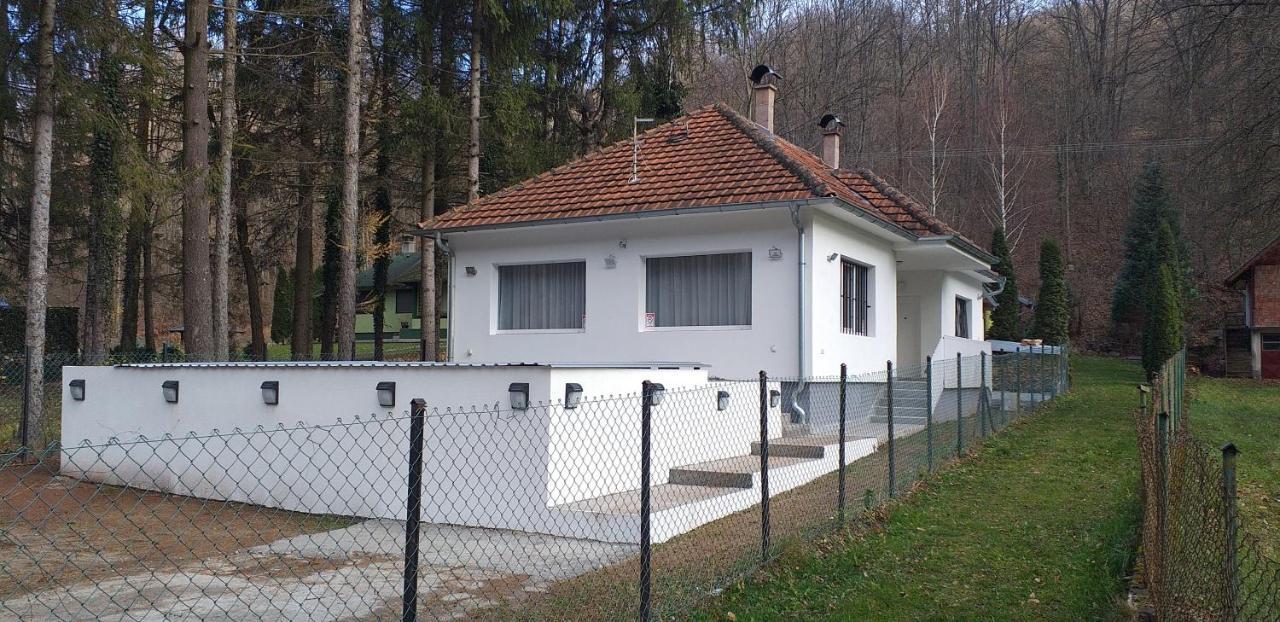 Apartmani Grza Парачин Екстер'єр фото