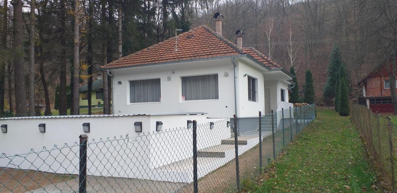 Apartmani Grza Парачин Екстер'єр фото