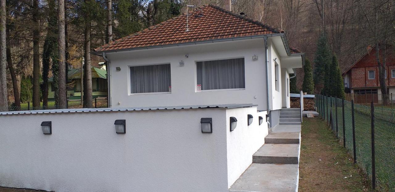 Apartmani Grza Парачин Екстер'єр фото