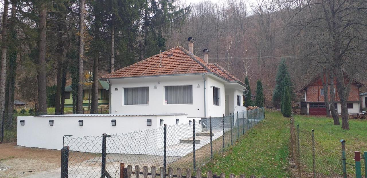 Apartmani Grza Парачин Екстер'єр фото
